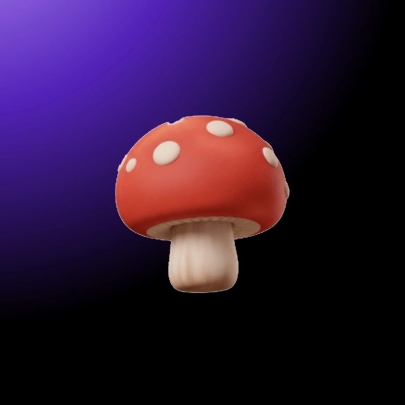 ‎